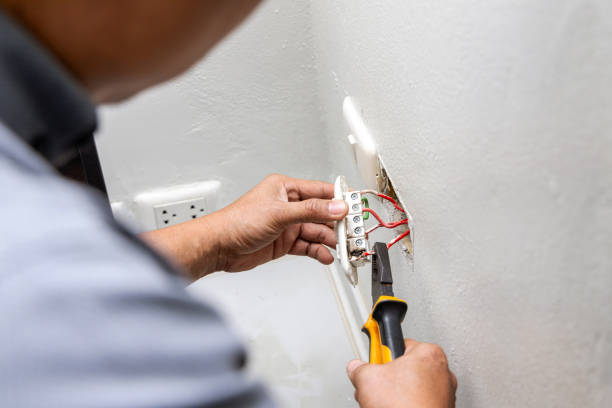 Best Electric Panel Repair  in Catasauqua, PA